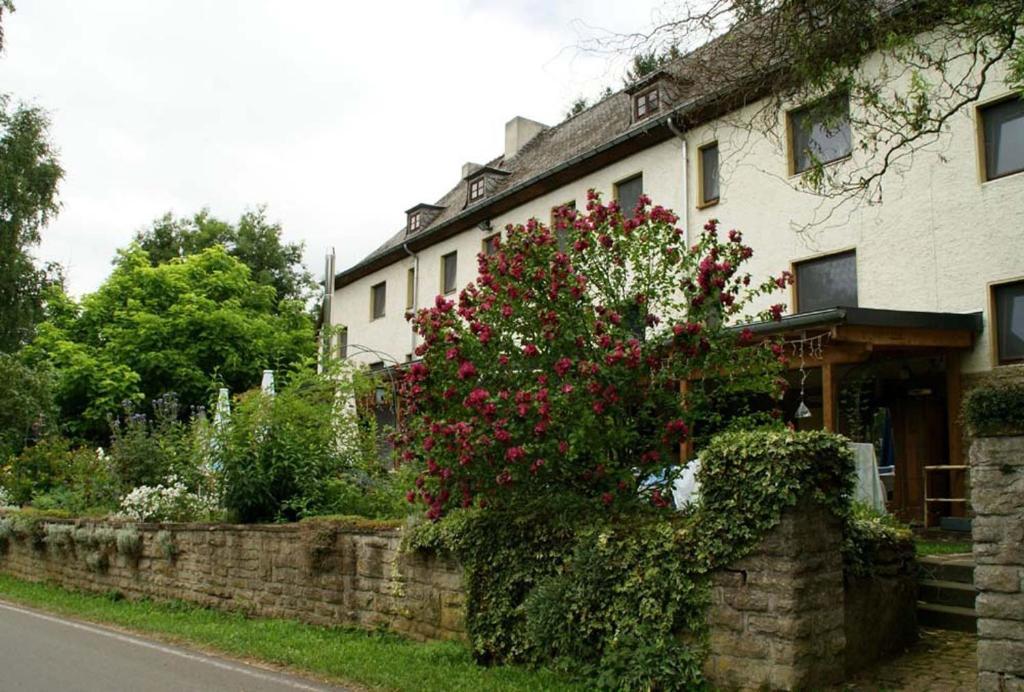 ホテル Altes Zollhaus Naehe Luxemburg Ammeldingen an der Our エクステリア 写真